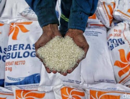 Stok Beras Indonesia Melimpah, Negara Tetangga Cemas