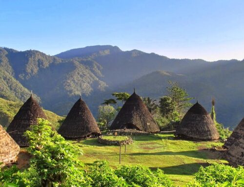 Tren Travel 2025: Wisata Ramah Lingkungan Jadi Pilihan Generasi Muda