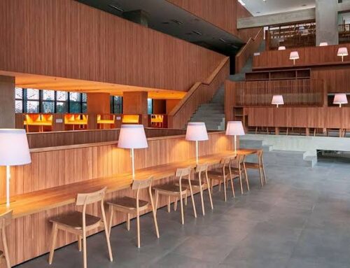 Nyaman, Tenang, dan Gratis: Solusi Nugas Hemat di Perpustakaan Jakarta